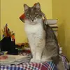 Отзыв от Арина Попова